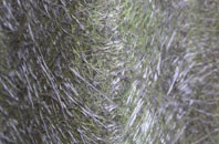 High Hauxley fibreglass roof work