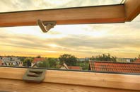 rated High Hauxley roof window companies